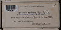 Image Associated With the Occurence